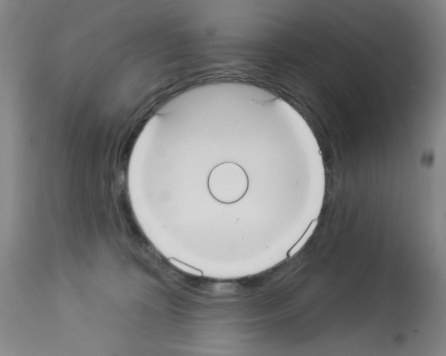 X0000113060324200910091150