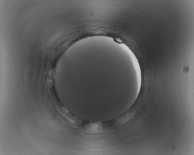 X0000113060325200910091150