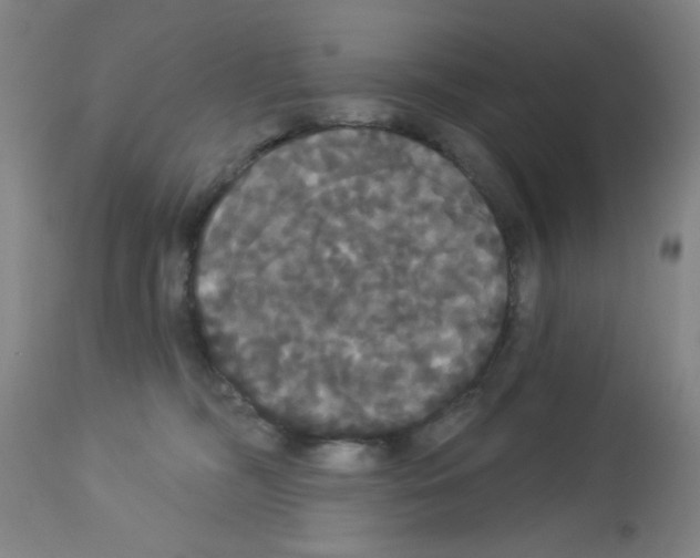 X0000113060326200910091149