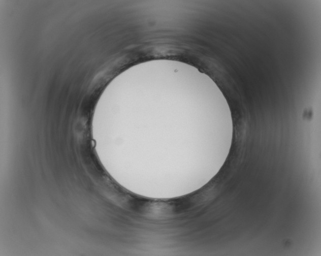 X0000113060327200910091149