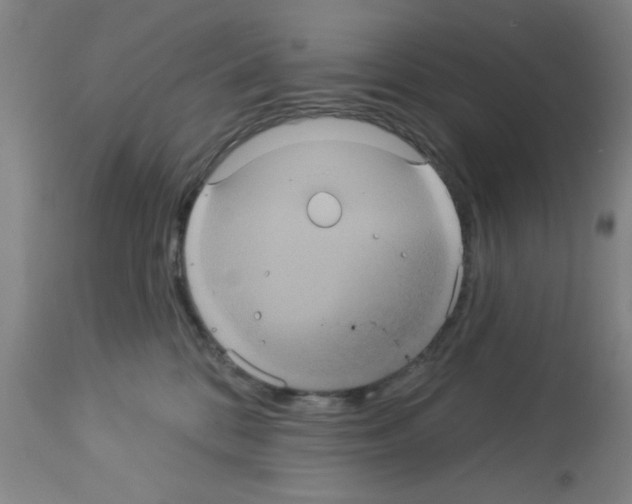 X0000113060328200910091149
