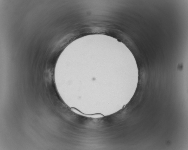 X0000113060329200910091149