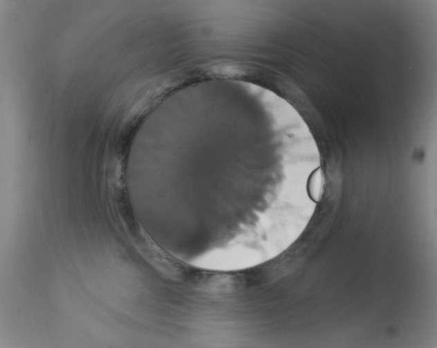 X0000113060330200910091149
