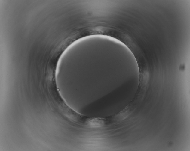 X0000113060331200910091149