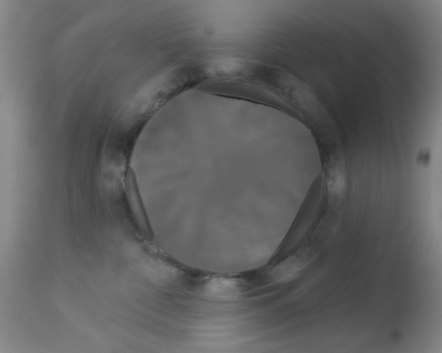 X0000113060332200910091149