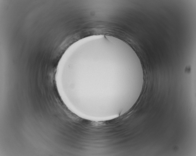 X0000113060333200910091149