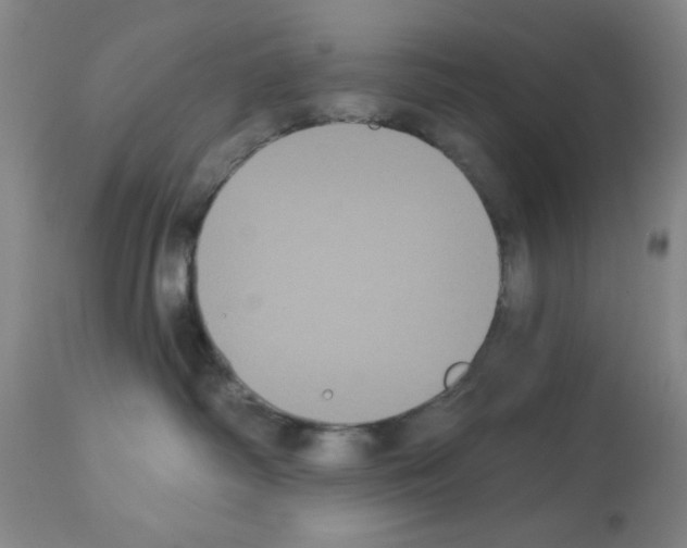 X0000113060334200910091149