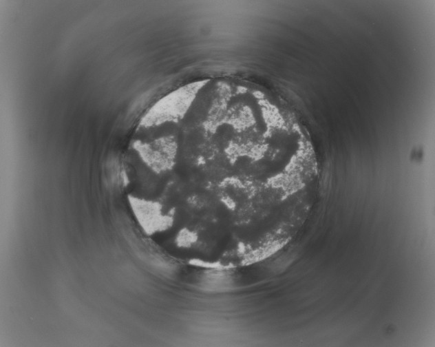 X0000113060335200910091149