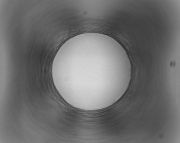 X0000113060336200910091149