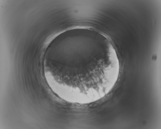 X0000113060337200910091149