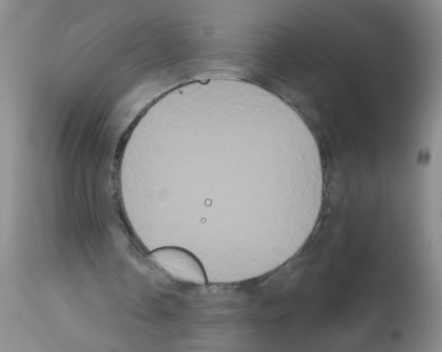 X0000113060338200910091149