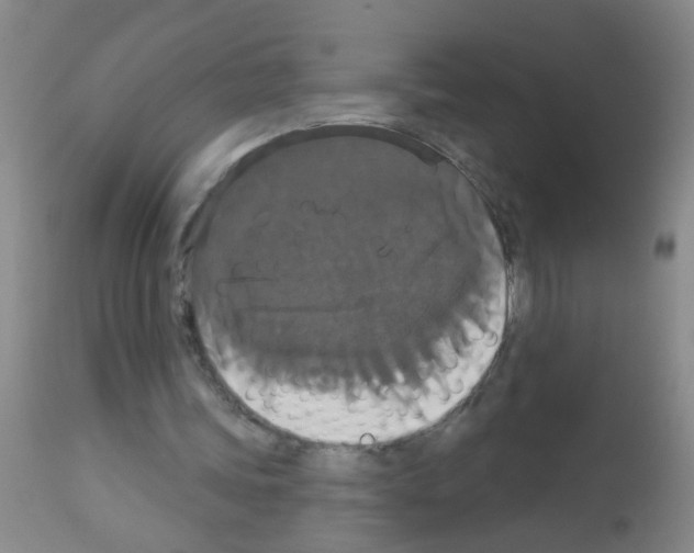 X0000113060339200910091149