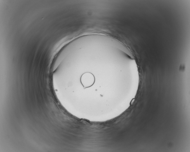 X0000113060340200910091149
