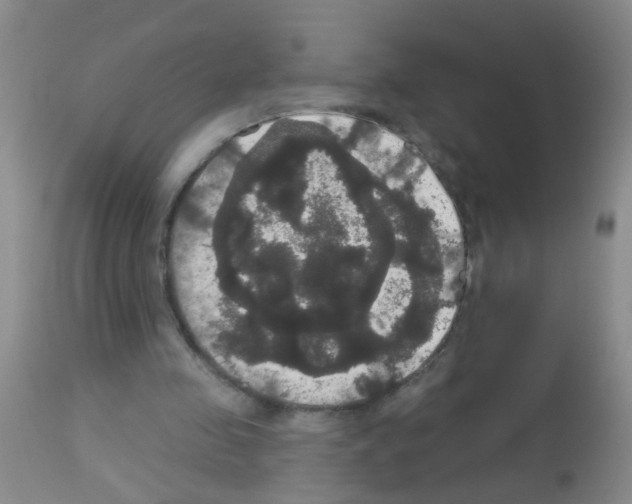 X0000113060341200910091149