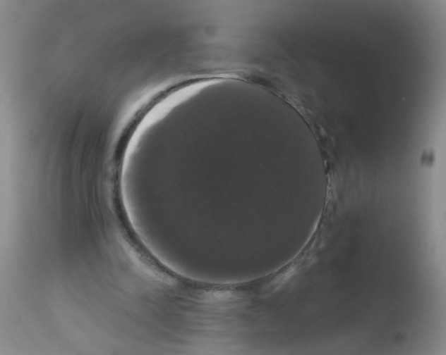 X0000113060342200910091149