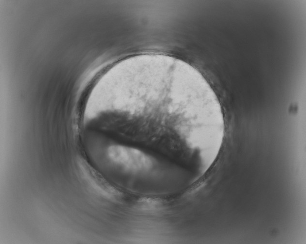X0000113060343200910091149