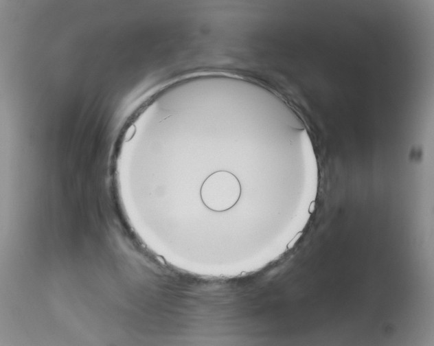 X0000113060344200910091149