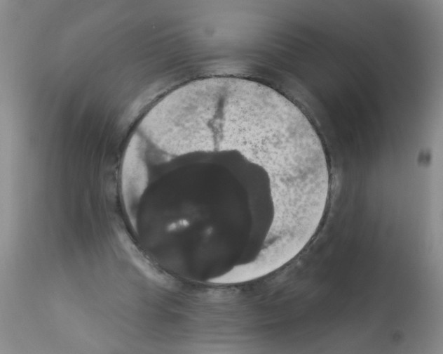 X0000113060345200910091149