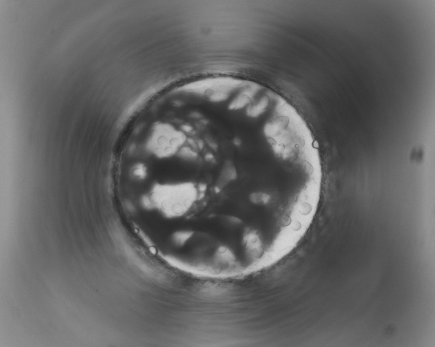 X0000113060346200910091149