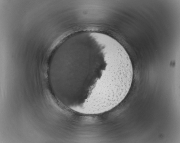 X0000113060347200910091149