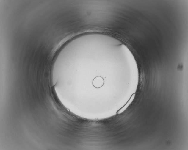 X0000113060348200910091149