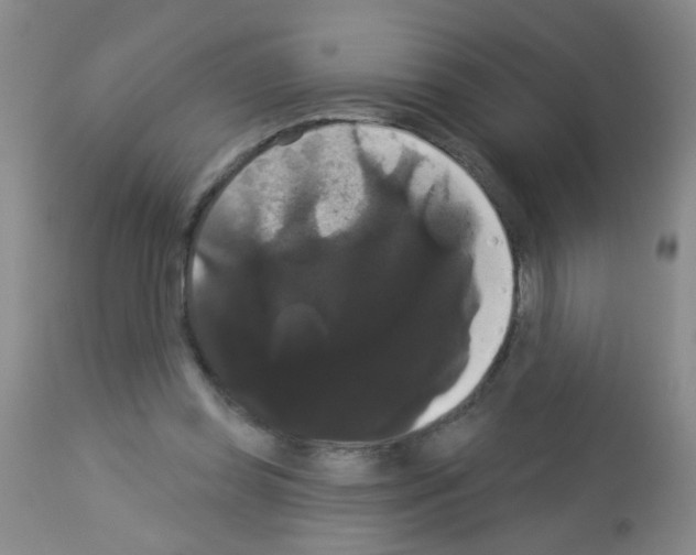 X0000113060349200910091149