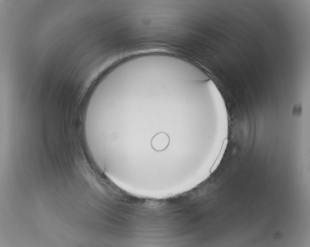 X0000113060350200910091149