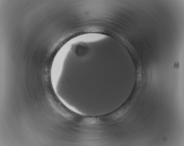 X0000113060351200910091149