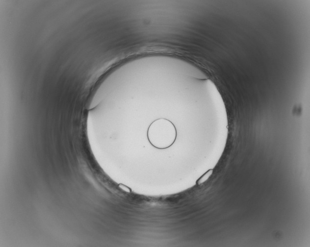 X0000113060352200910091149