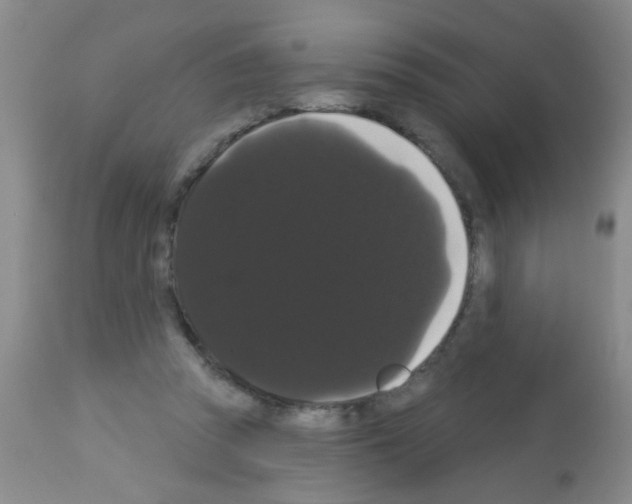 X0000113060353200910091149