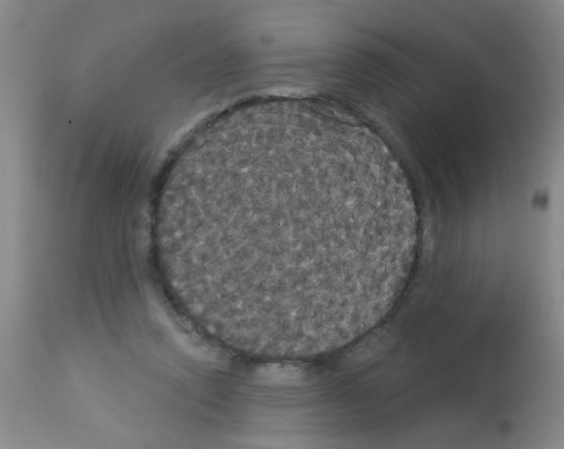 X0000113060354200910091149