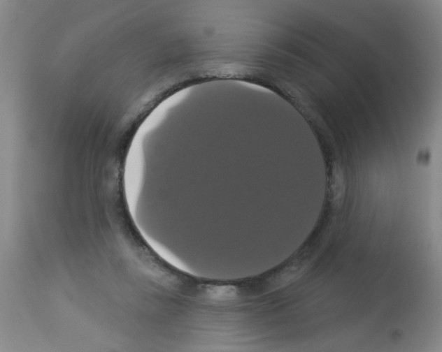 X0000113060355200910091149