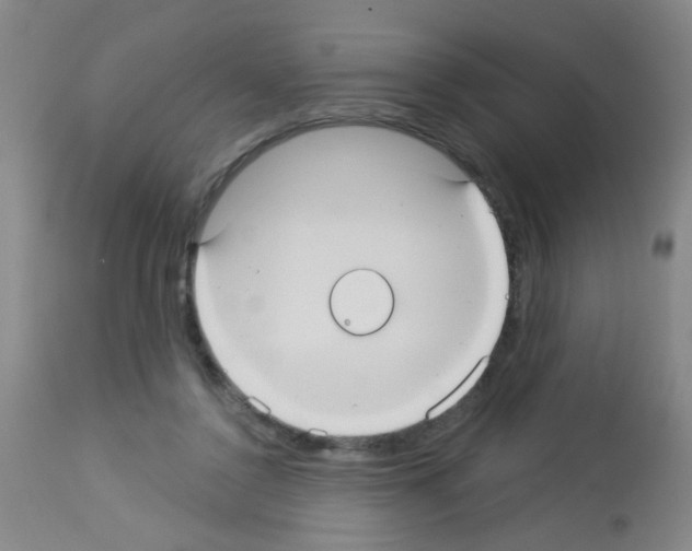 X0000113060356200910091149