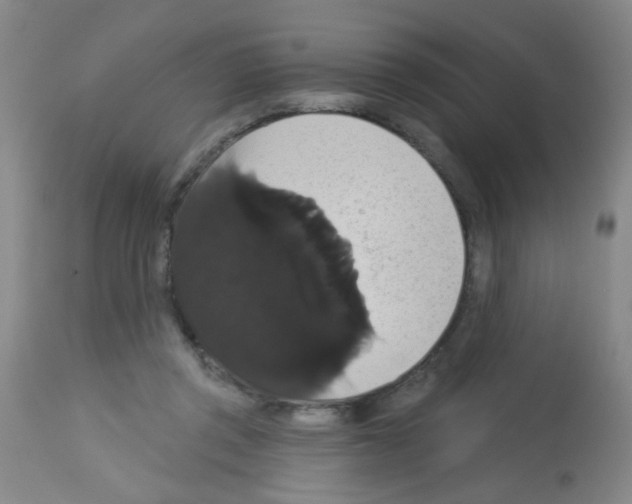 X0000113060357200910091149