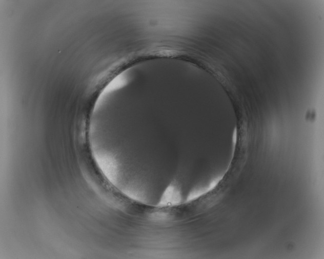 X0000113060358200910091149
