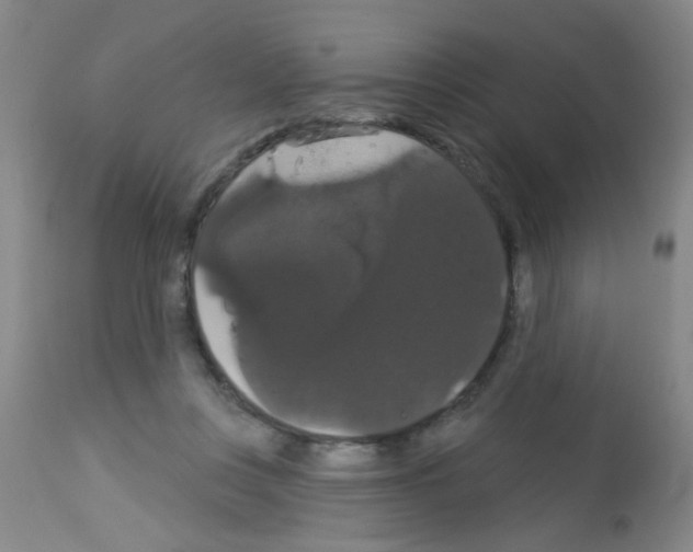 X0000113060359200910091149