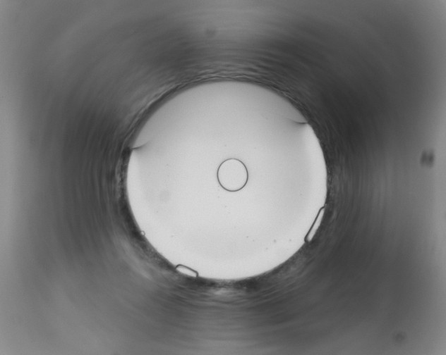 X0000113060360200910091149