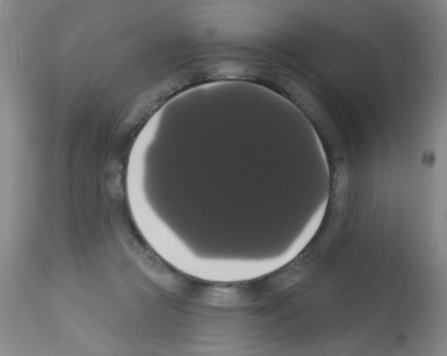X0000113060361200910091149