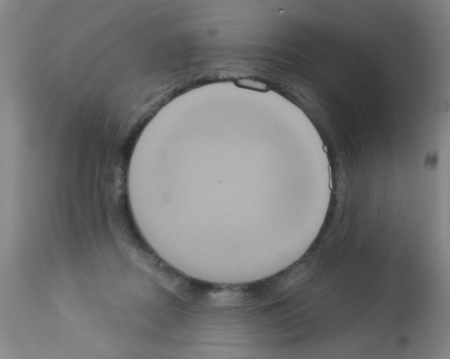 X0000113060362200910091149