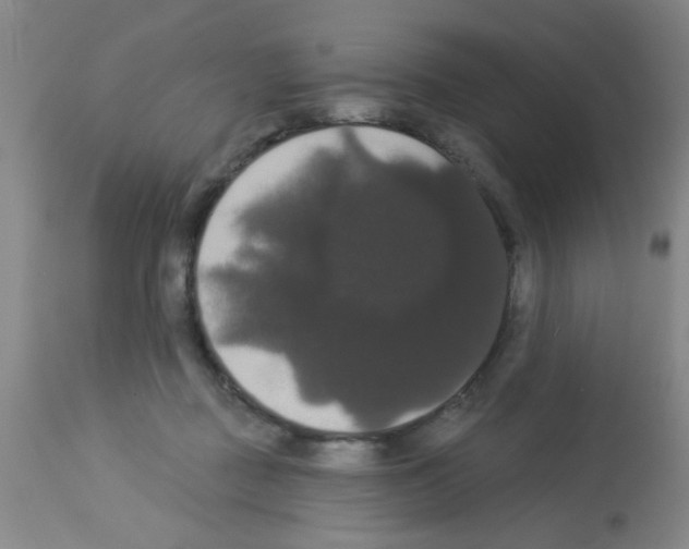 X0000113060363200910091149