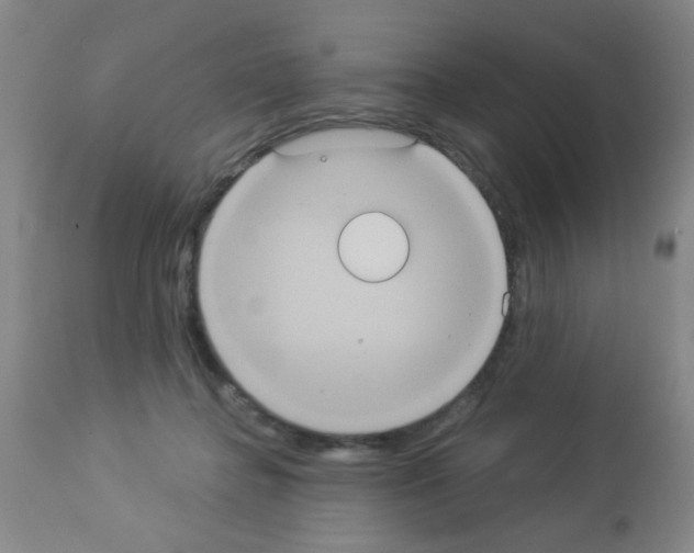 X0000113060364200910091149