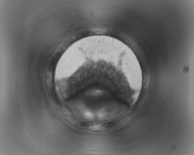 X0000113060365200910091149
