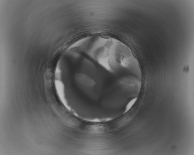 X0000113060366200910091149