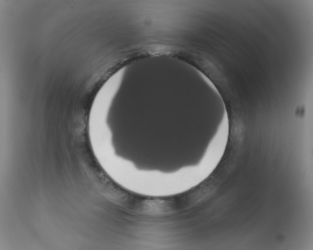 X0000113060367200910091149