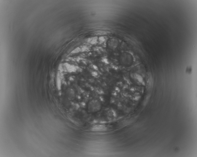 X0000113060369200910091149