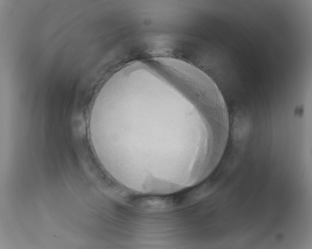 X0000113060370200910091149