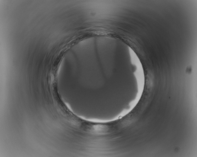 X0000113060371200910091149