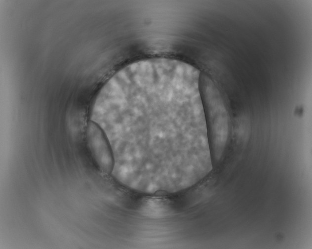 X0000113060372200910091149