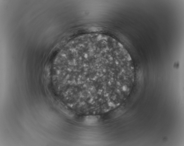 X0000113060373200910091149