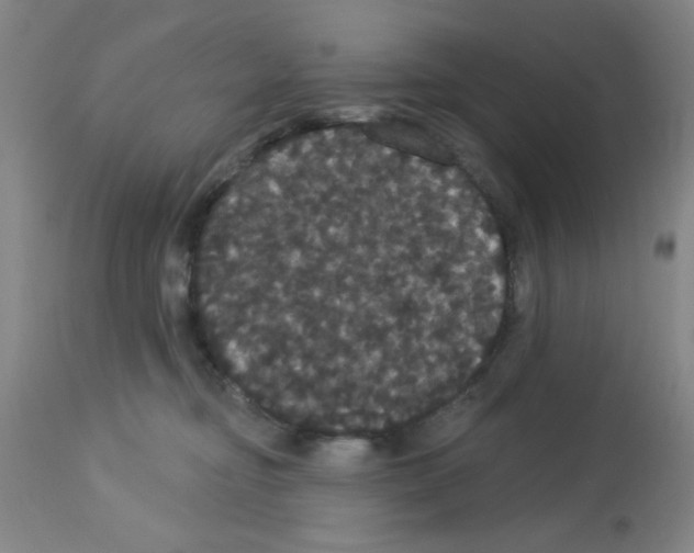 X0000113060374200910091149